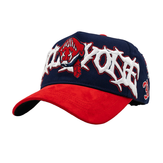 31 HATS “World series” Full set
